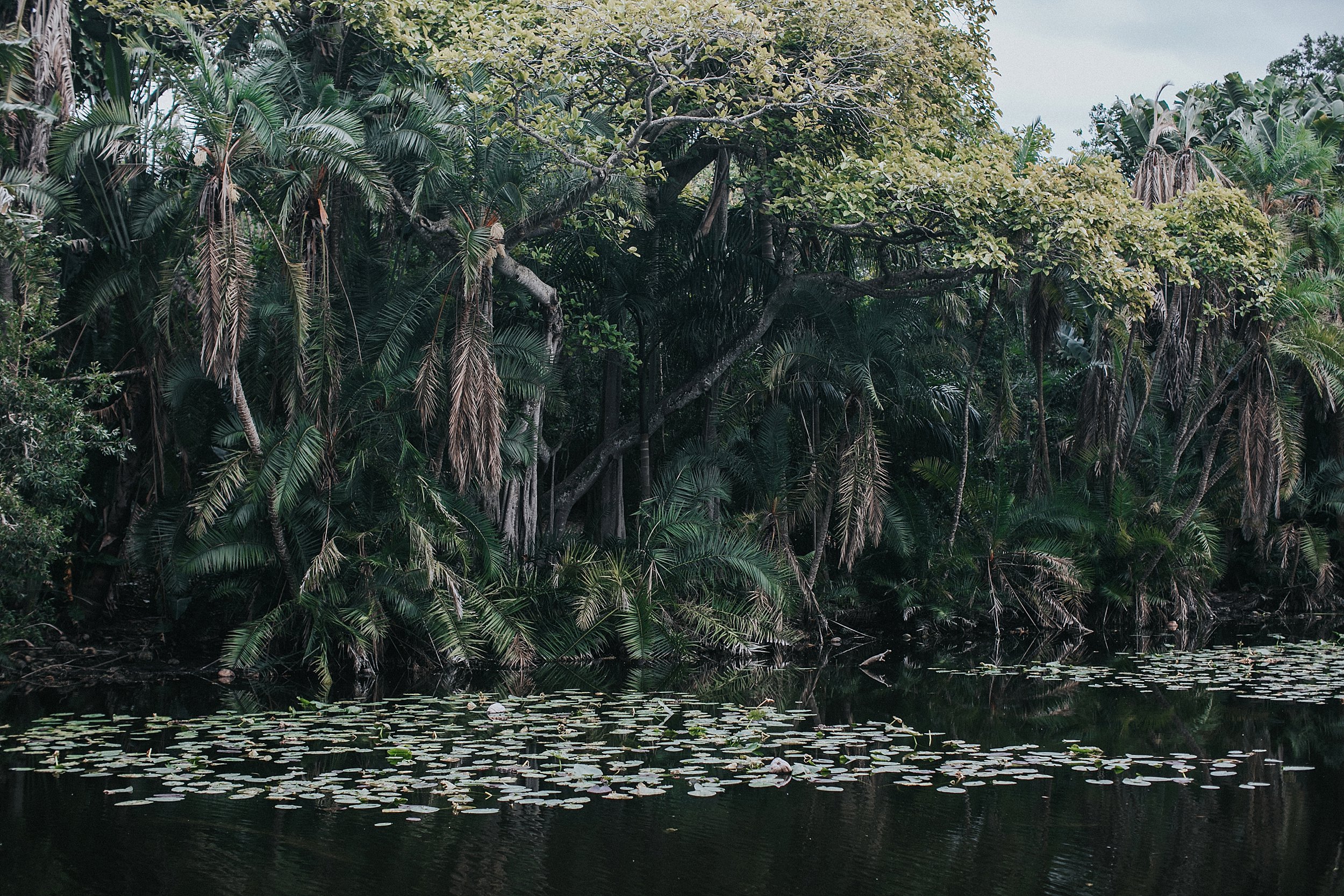 the bonnet house florida