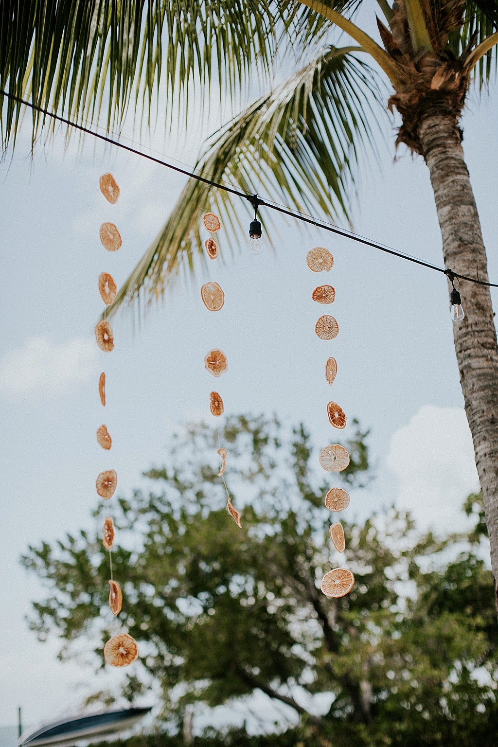 dried oranges wedding decorations
