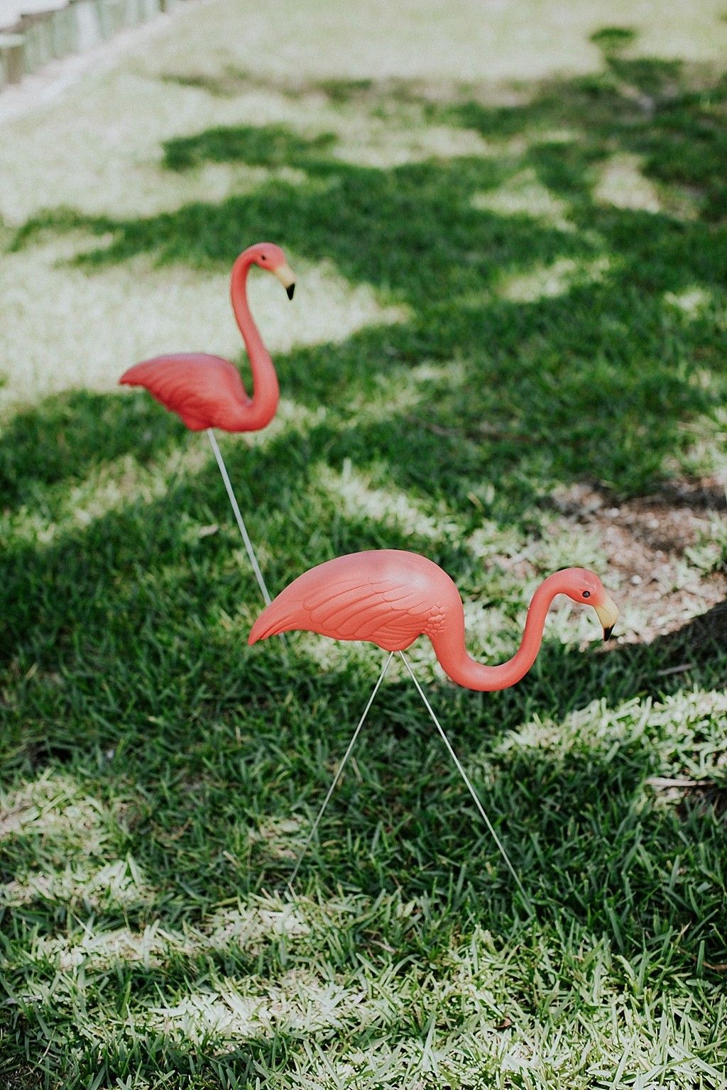 flamingo wedding decorations