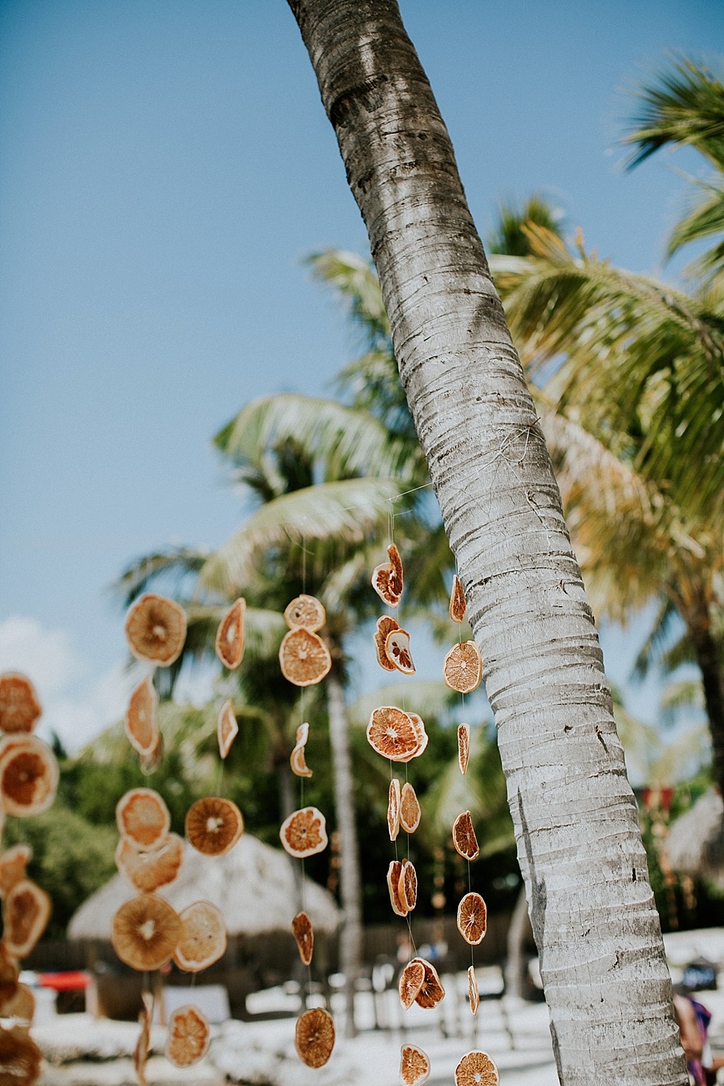 dried oranges wedding decorations